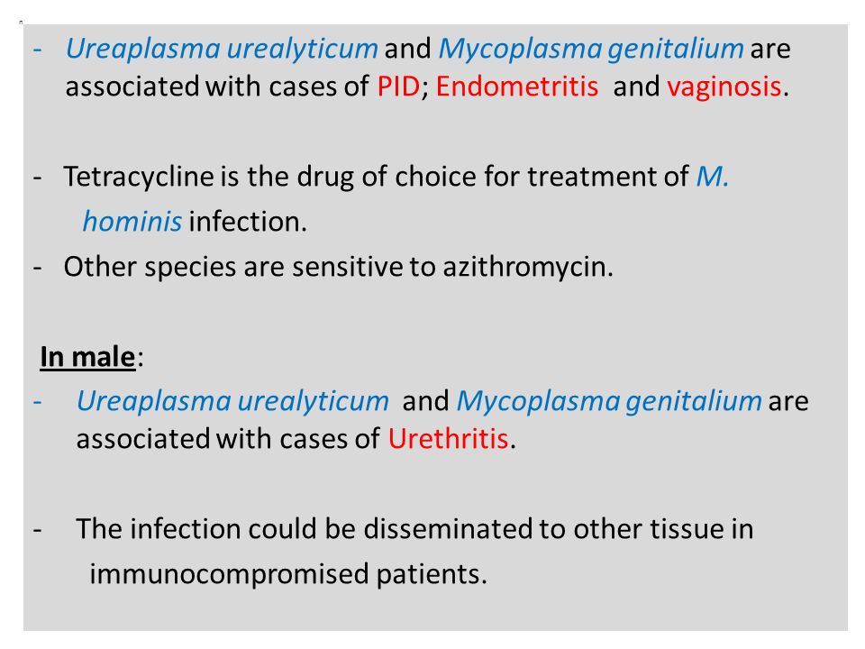 azithromycin for ureaplasma treatment